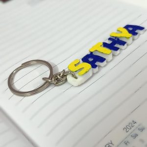 3D Printed Dual-Color Keychain3